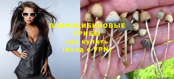 эйфоретик Абаза