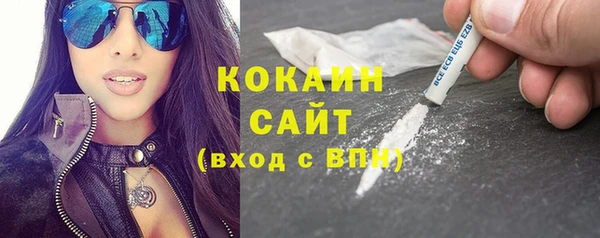 соль ск Алексин