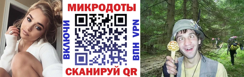 omg tor  Тольятти  Галлюциногенные грибы Psilocybine cubensis 