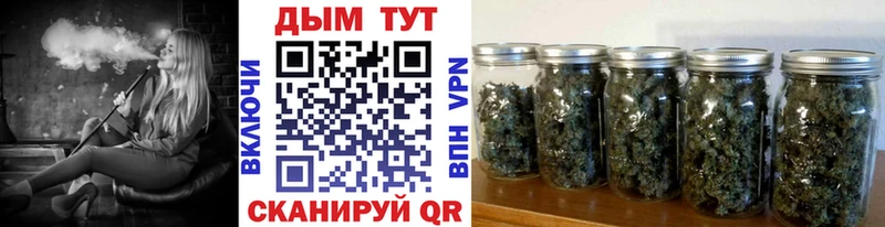 купить наркотик Тольятти это телеграм Канабис семена